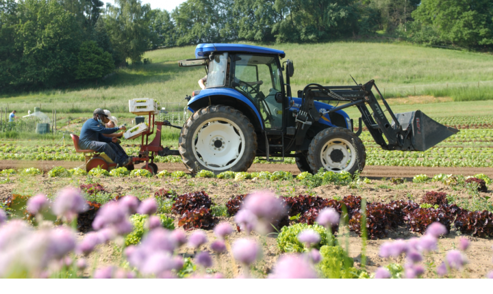 Trakteur JL 2 réduit