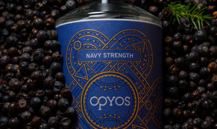 New Gin Navy Strength-168